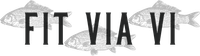 Fit Via Vi