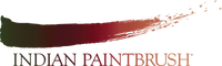 Indian Paintbrush
