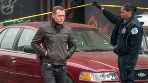 Прекрасная дружба