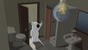 Д из квартиры 23