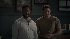 Истинный север