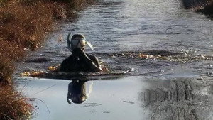 Эпизод 11