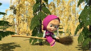 Новая метла