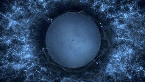 Поиск разумной жизни на Земле
