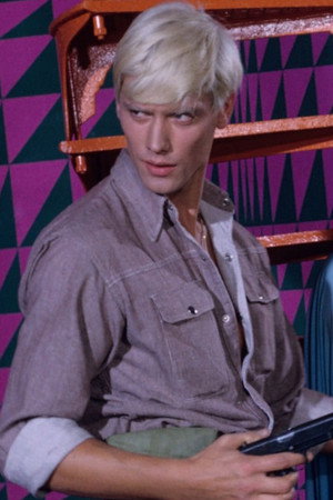 Wolfgang Hillinger