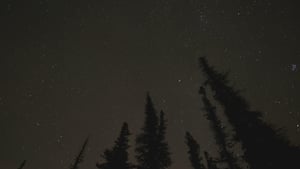 Эпизод 11