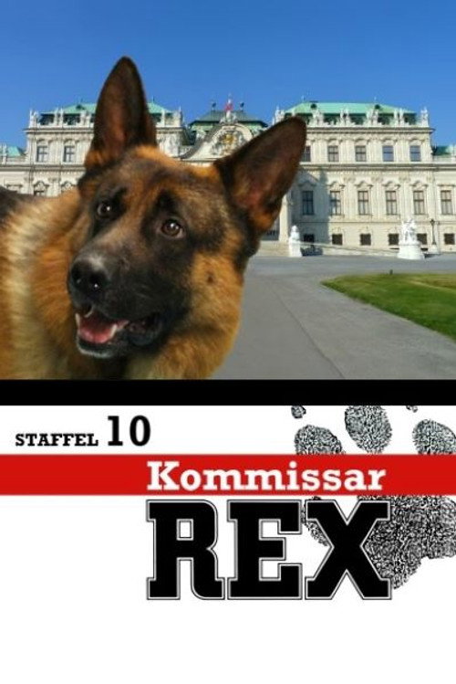 Сезон 10